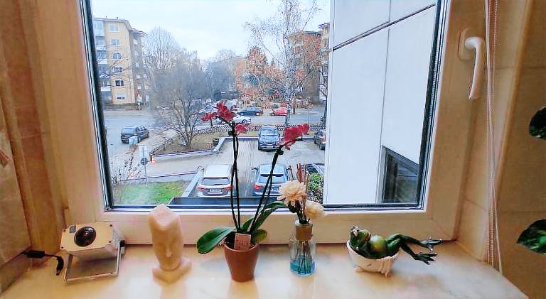 Weltoffenes privates Gastezimmer bei LGBTQ freundlichen Gastgeber der mit in der Wohnung lebt — photo 5