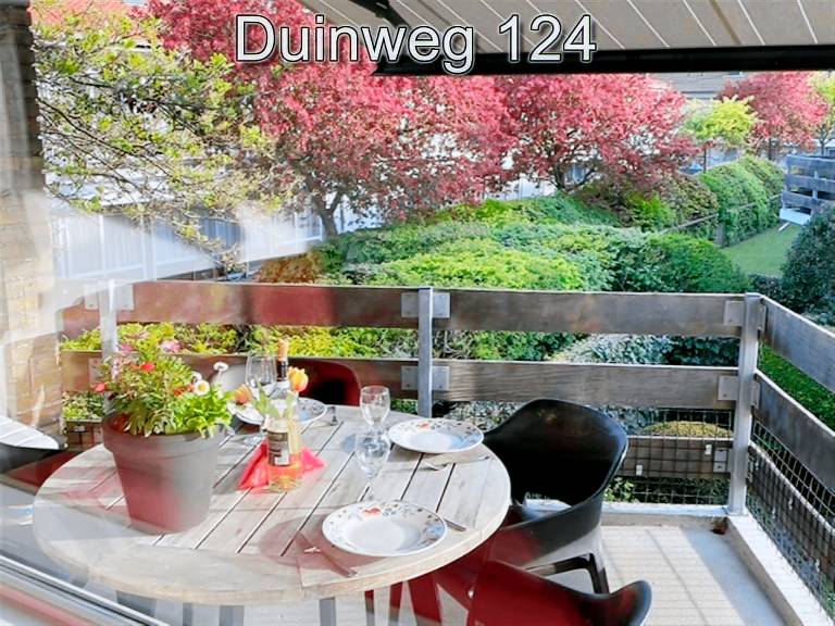 Holiday apartment with pool | Beach nearby | Pets allowed — photo 3