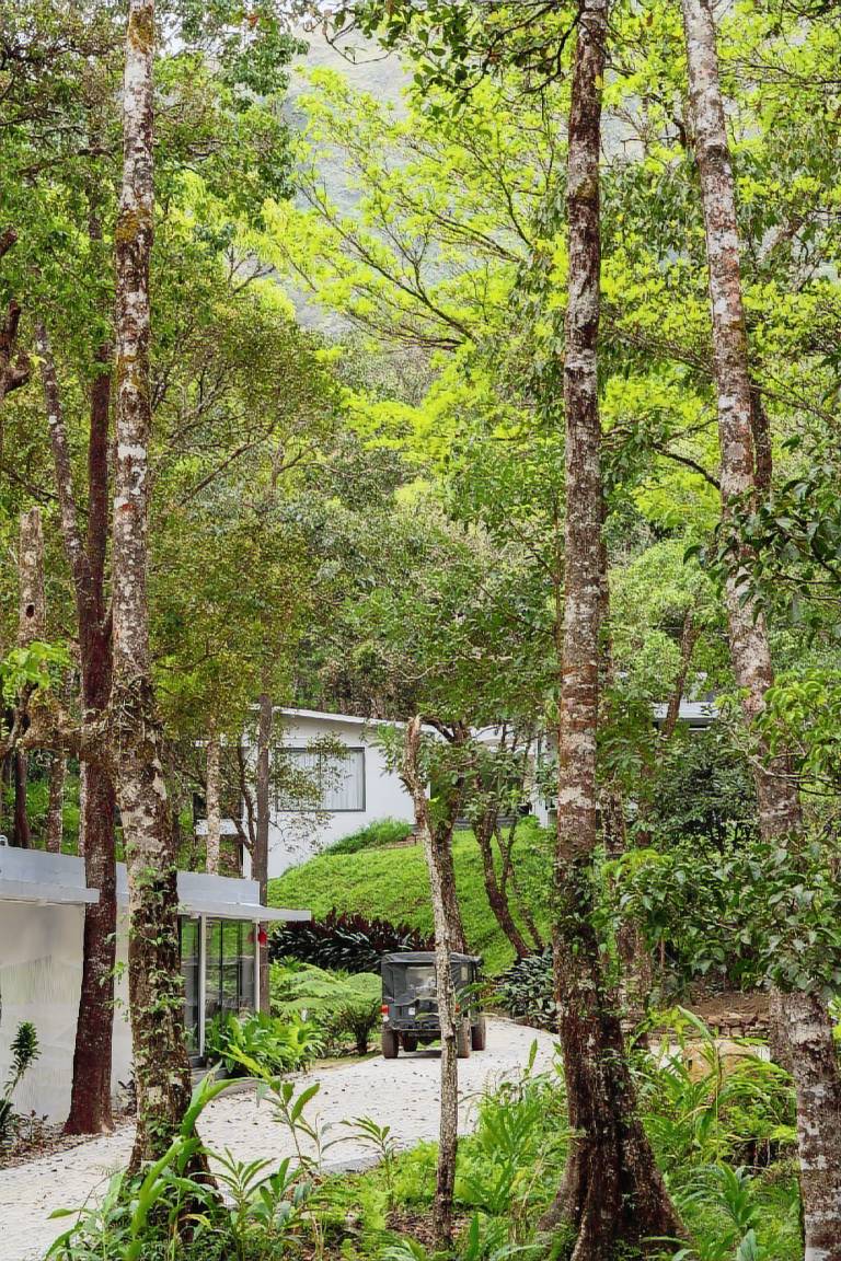 The Elakki Valley Eco Resorts. — photo 4