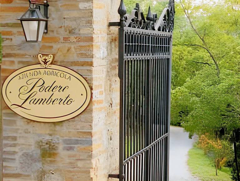 Ample farm with private pool, yard & patio | Pet-friendly in Montepulciano
