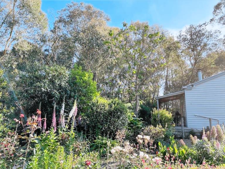 Cottage Foster