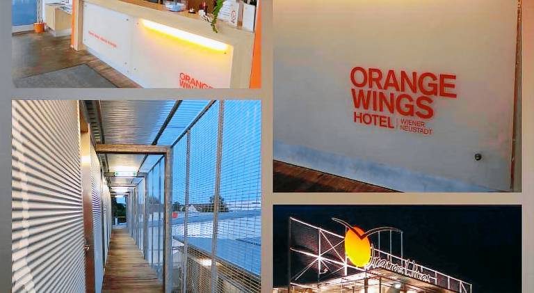 Orange Wings Wiener Neustadt — photo 5