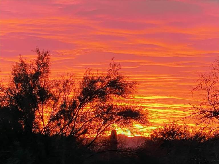 House Catalina Foothills