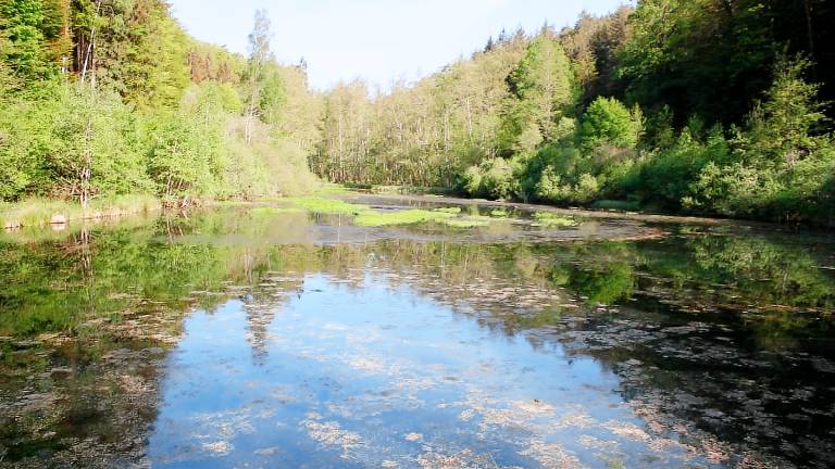 Ferienwohnung Ludwigswinkel
