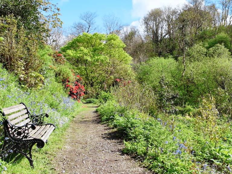 Children-friendly lovely cottage with yard | Pets allowed in Carmarthen