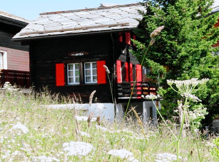 Appartement  Saas-Fee