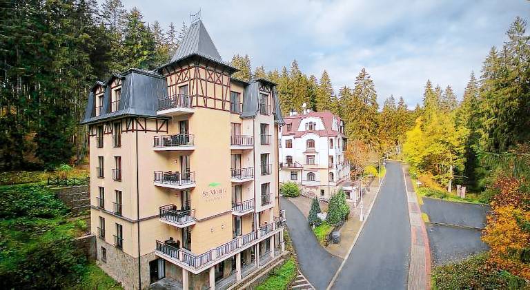 Lovely rental apartment with terrace, pool & sauna | Pets allowed in Marianske Lazne