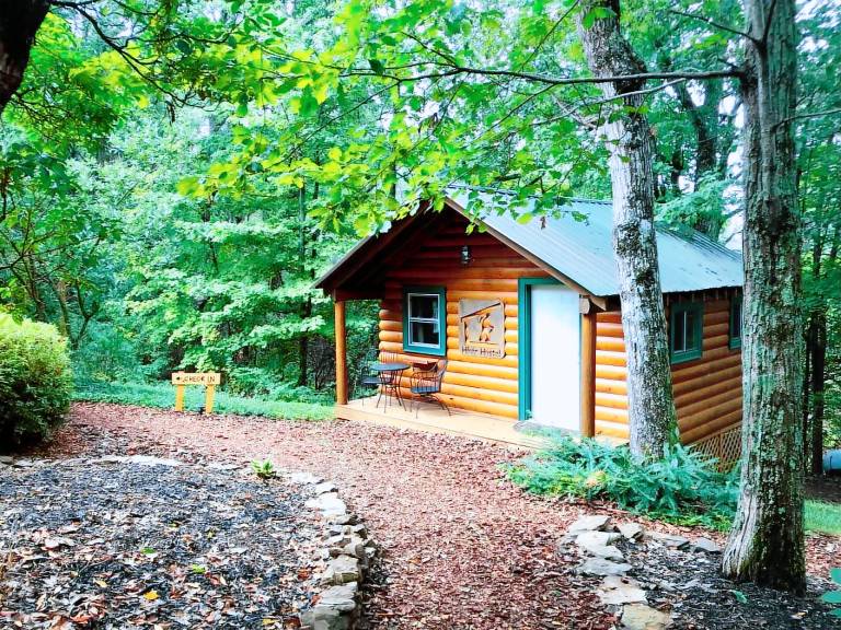 House Dahlonega