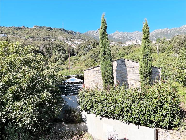 Maison de vacances Erbalunga