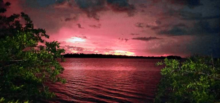 Mobile home Everglades City