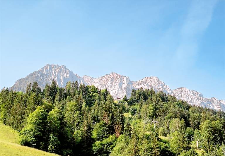 foto2