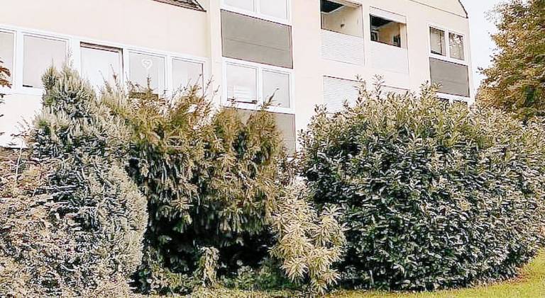 Rental apartment with 2 rooms for 6 persons — photo 4