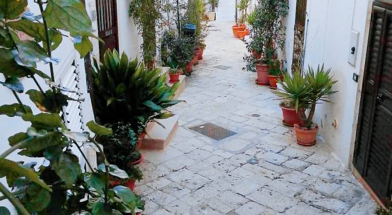 Wonderful house | Pet-friendly — photo 3