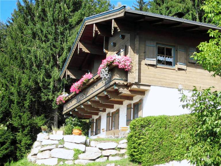 Appartement Mittersill