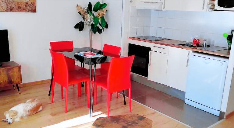 Lovely rental apartment | Dogs allowed in Foix