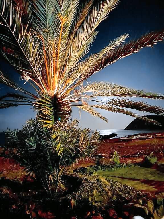 Maison de vacances Jnan Annich