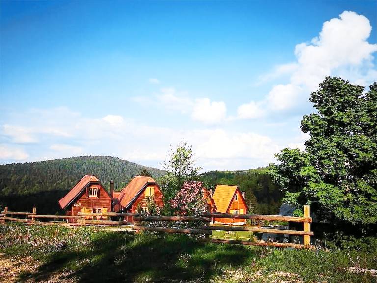 koča Zaovine