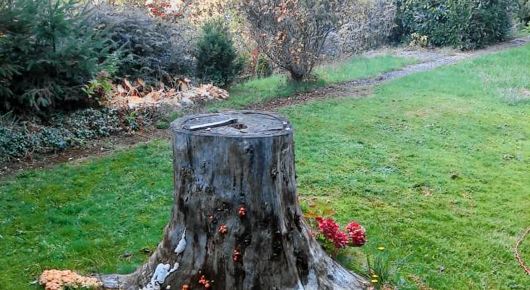 90 m&sup2; Ferienwohnung