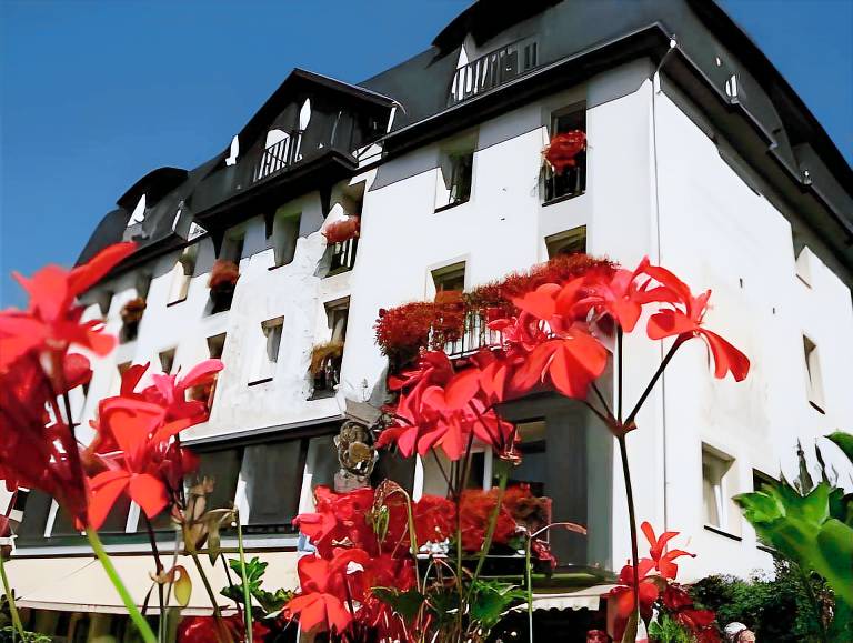 Rheinhotel Lamm in Ruedesheim am Rhein