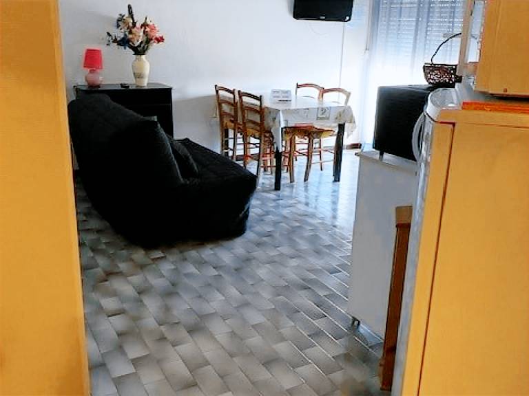Appartement Balaruc-les-Bains