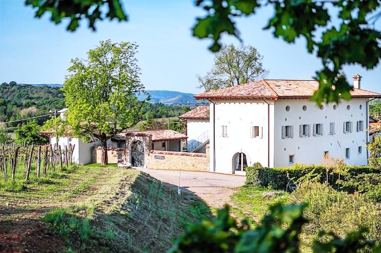 Agriturismo Borgo Gradisciutta: 11. Faggio — photo 4