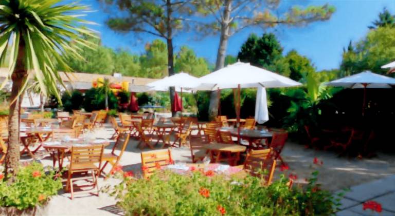Camping Le Pressoir — photo 5