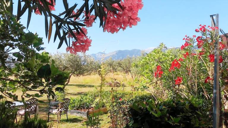 Agriturismo Serramonacesca