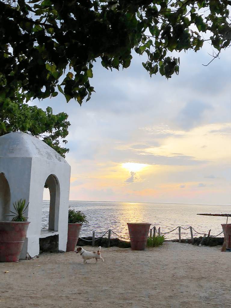 Ample house with grill | Beach nearby | Pets allowed — photo 5