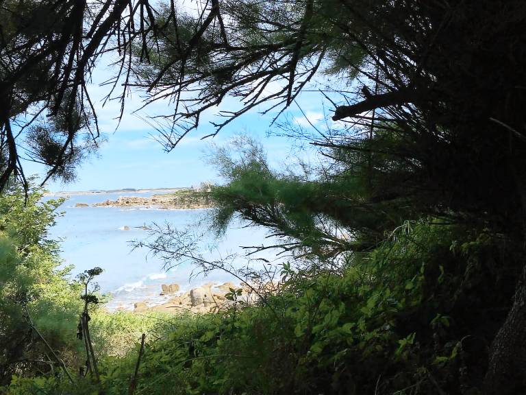 Cottage Santec
