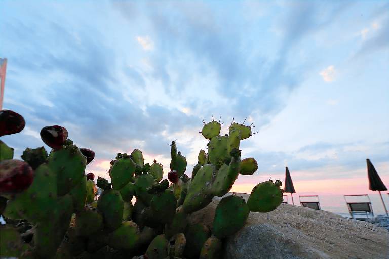 Appartement in Marchesana mit Gro&szlig;er Terrasse