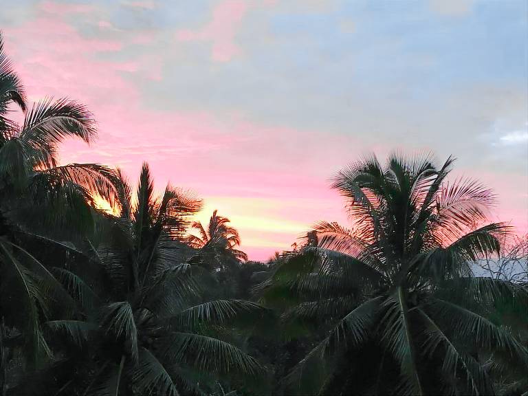 House Rarotonga