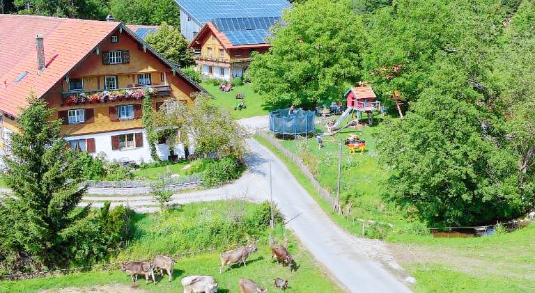Rental apartment with barbeque & yard in Wangen im Allgäu