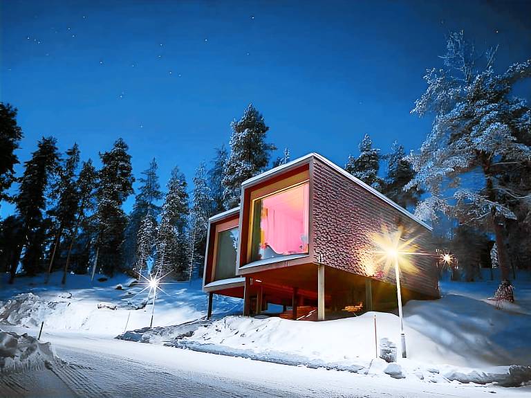 Arctic TreeHouse Hotel — photo 5