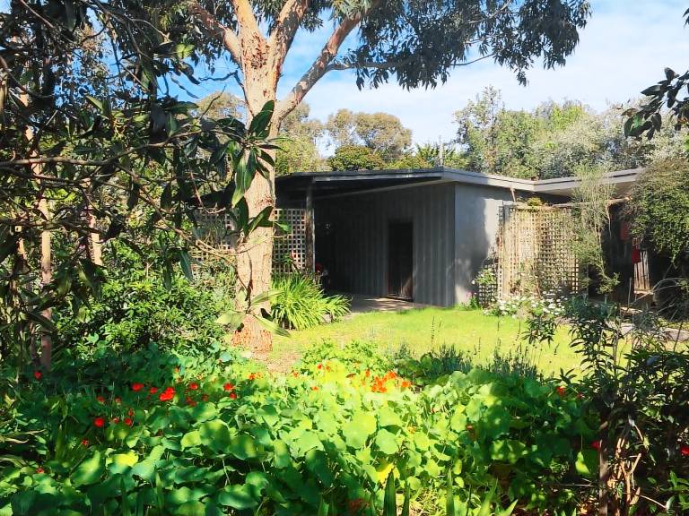 House Indented Head