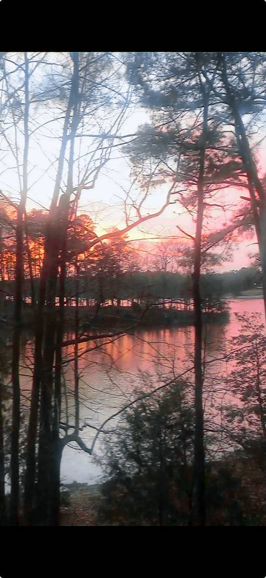 Cabin Mize