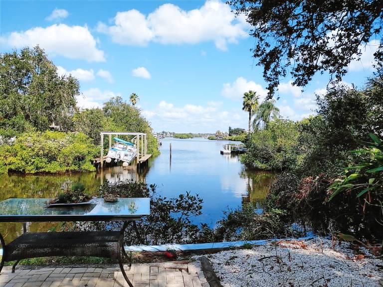 Apartment Palm Harbor