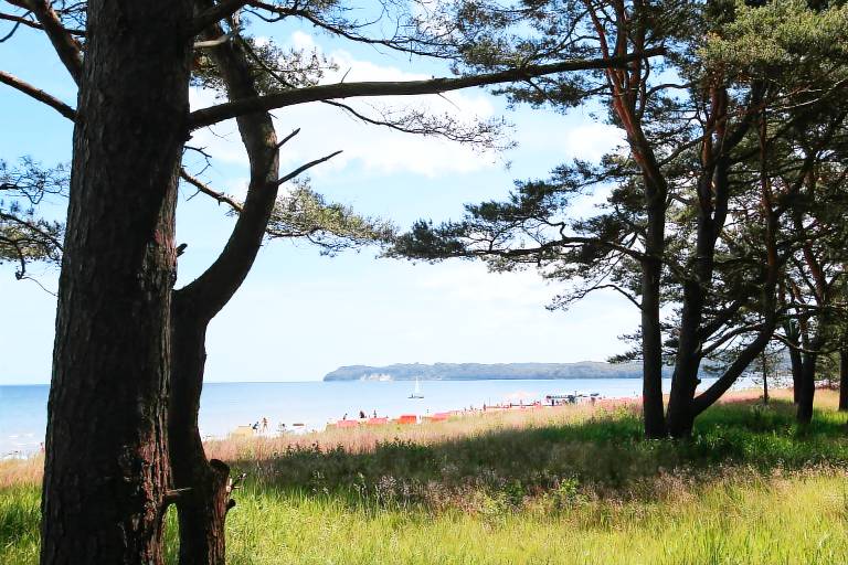 Ferienhaus Bergen auf Rügen