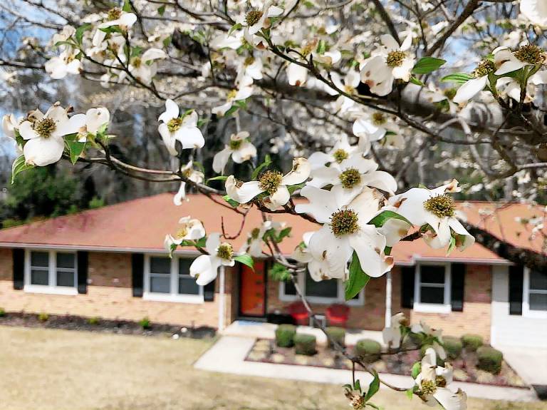 House North Augusta
