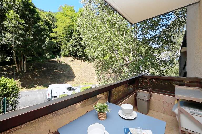 “At the Heart of the Valley” Apartment with Mountain View and Balcony — photo 2