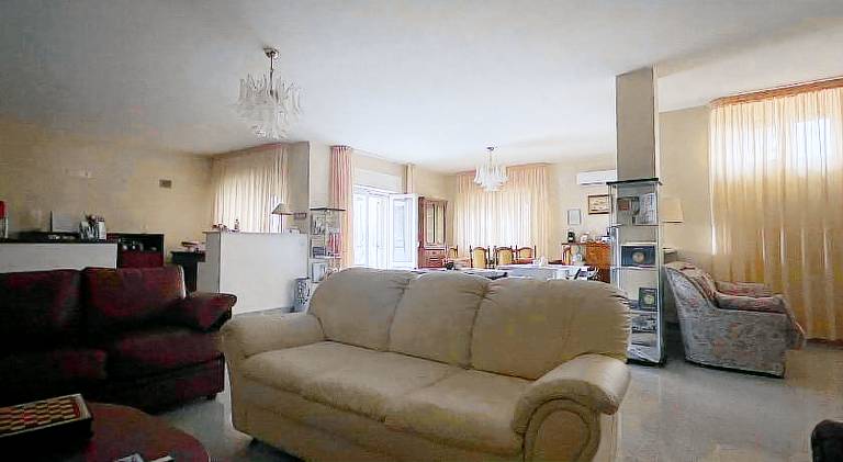 foto1