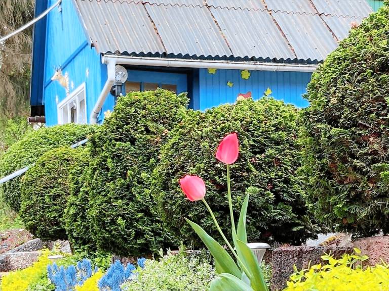 Ferienwohnung mit Garten