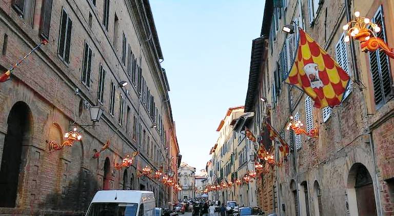 Rental apartment | Close to Piazza del Campo | Dogs allowed — photo 4