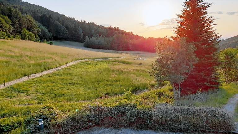 Ferienwohnung Sasbachwalden