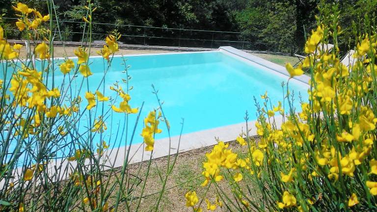 Apartment Greve in Chianti