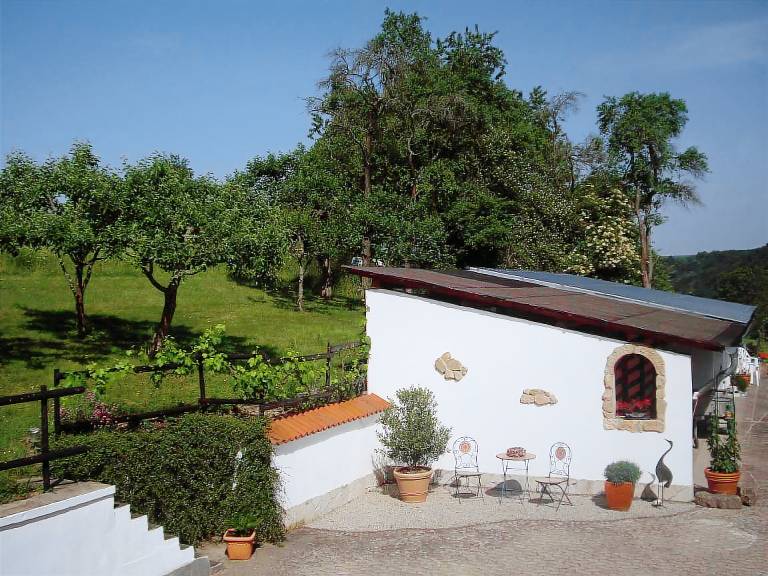 foto1