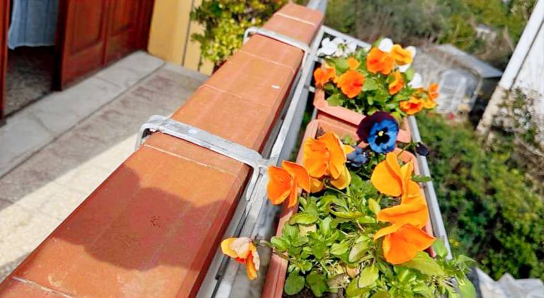 Vacation home | Close to Santa Maria della Spina — photo 5