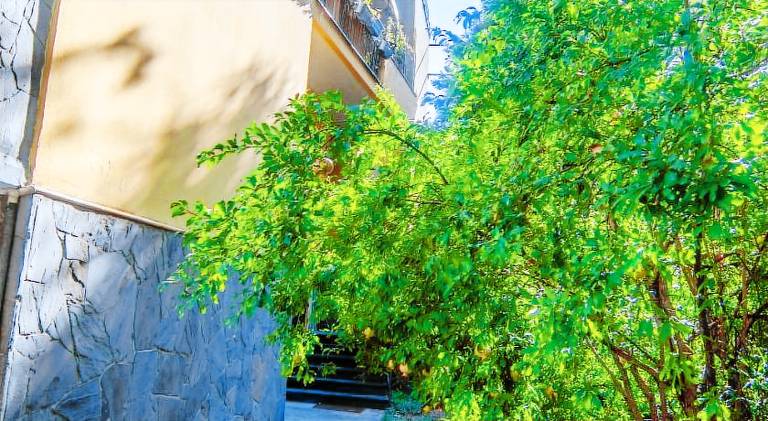 Rental apartment with garden & terrace — photo 4