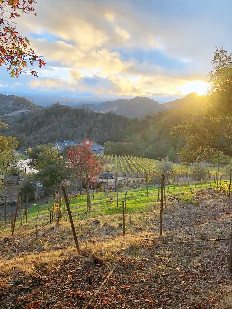 House Calistoga
