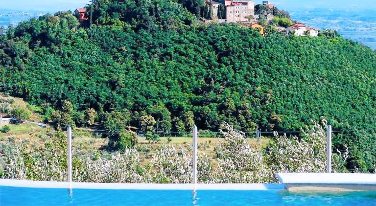 House with pool — photo 4