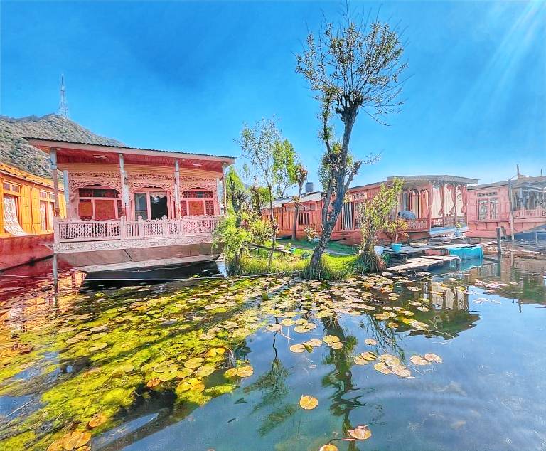 House  Srinagar